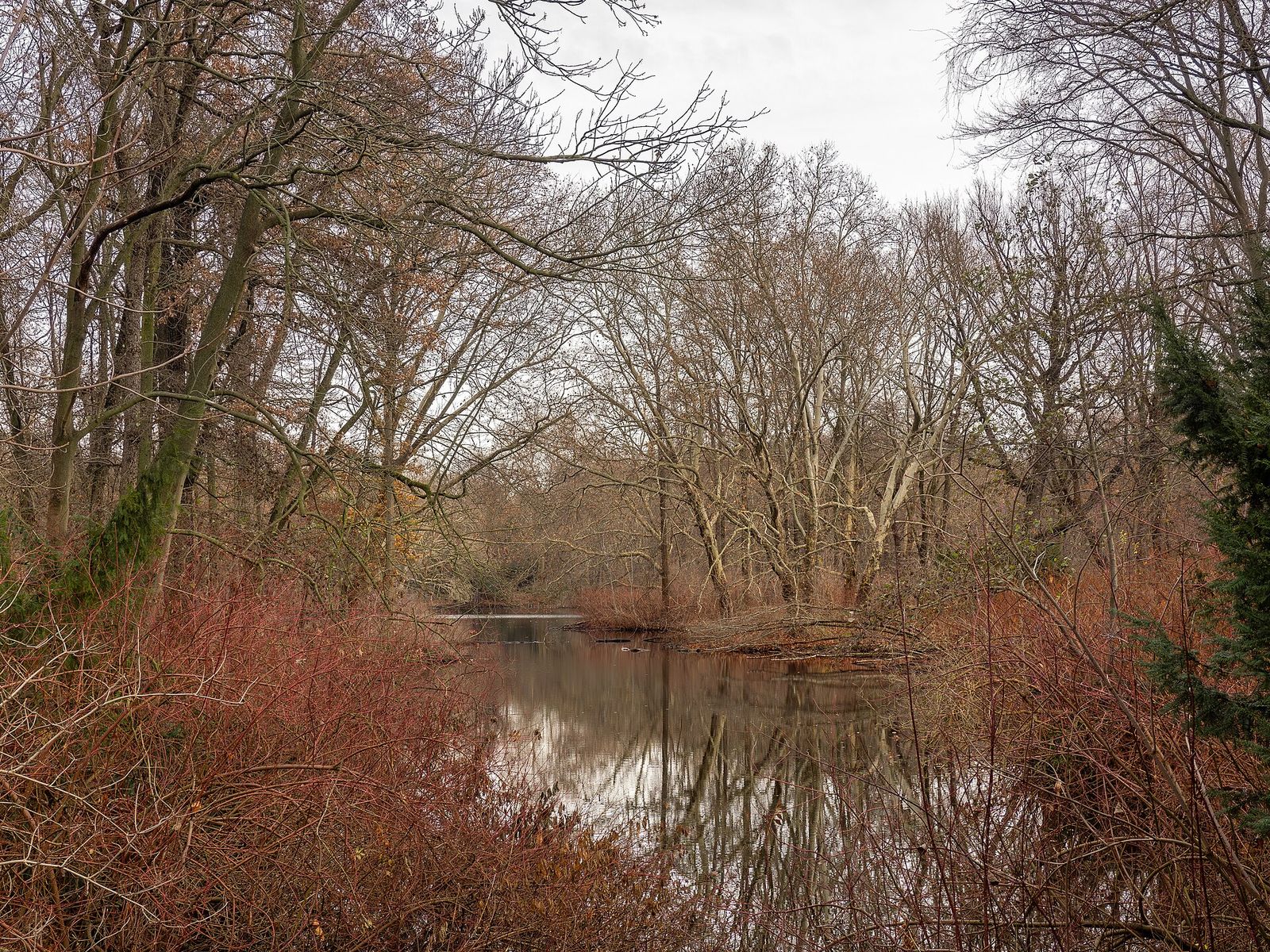 Le Neuer See, dans le parc du Tiergarten