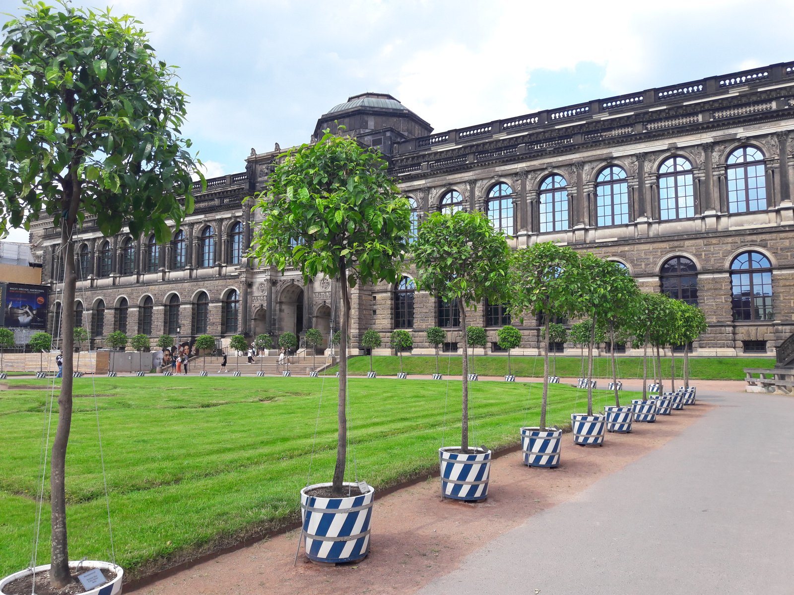 Die Gemäldegalerie Alte Meister vom Zwingerhof aus, mit Orangenbäumchen