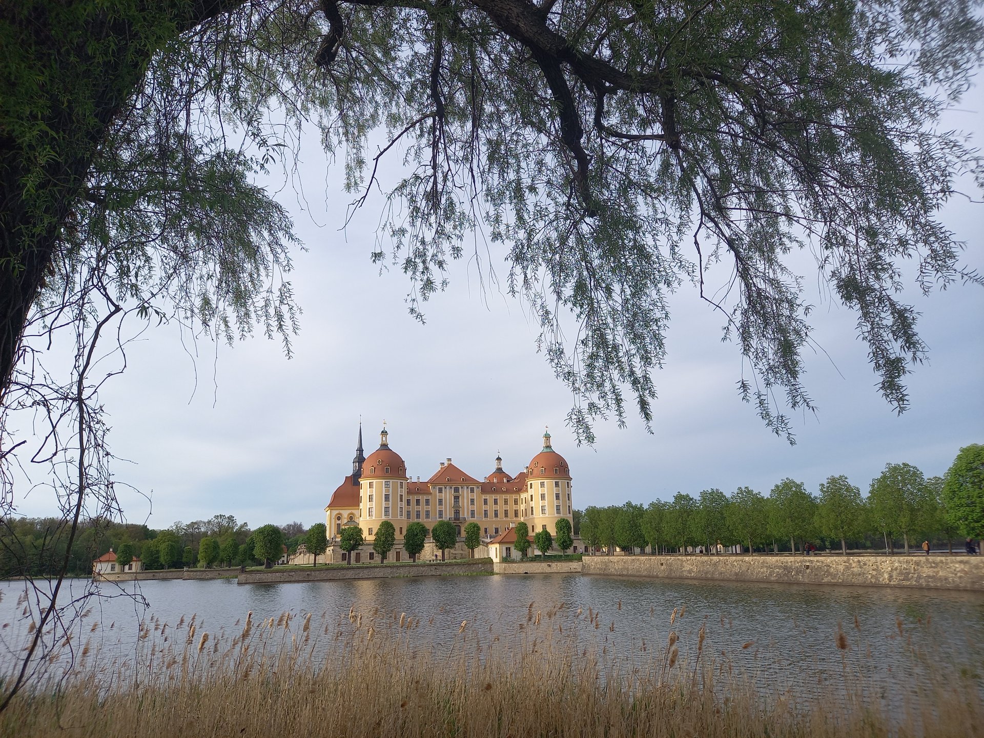 Schloss Moritzburg im Schlossteich