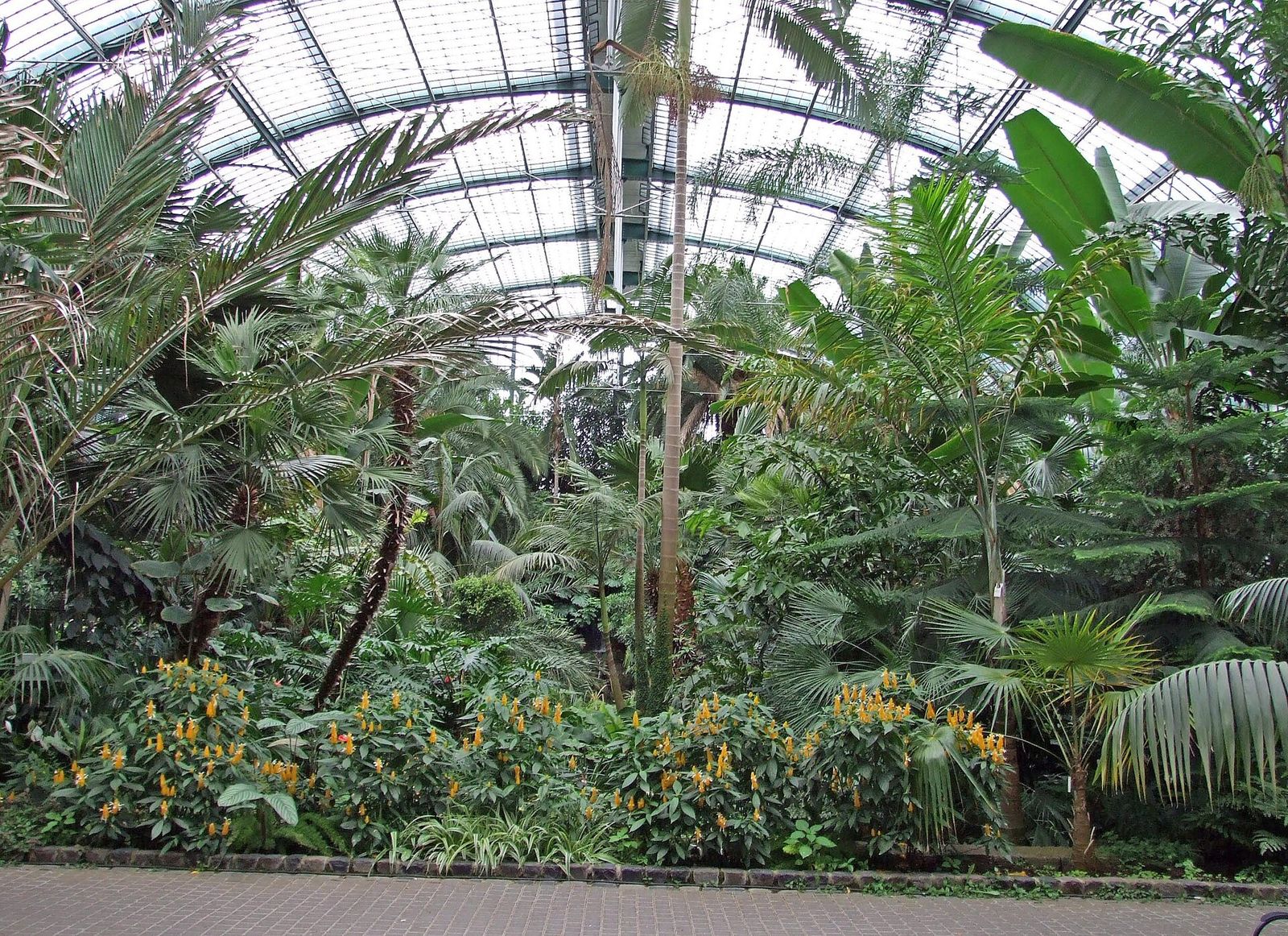 La serre aux palmiers du Palmengarten