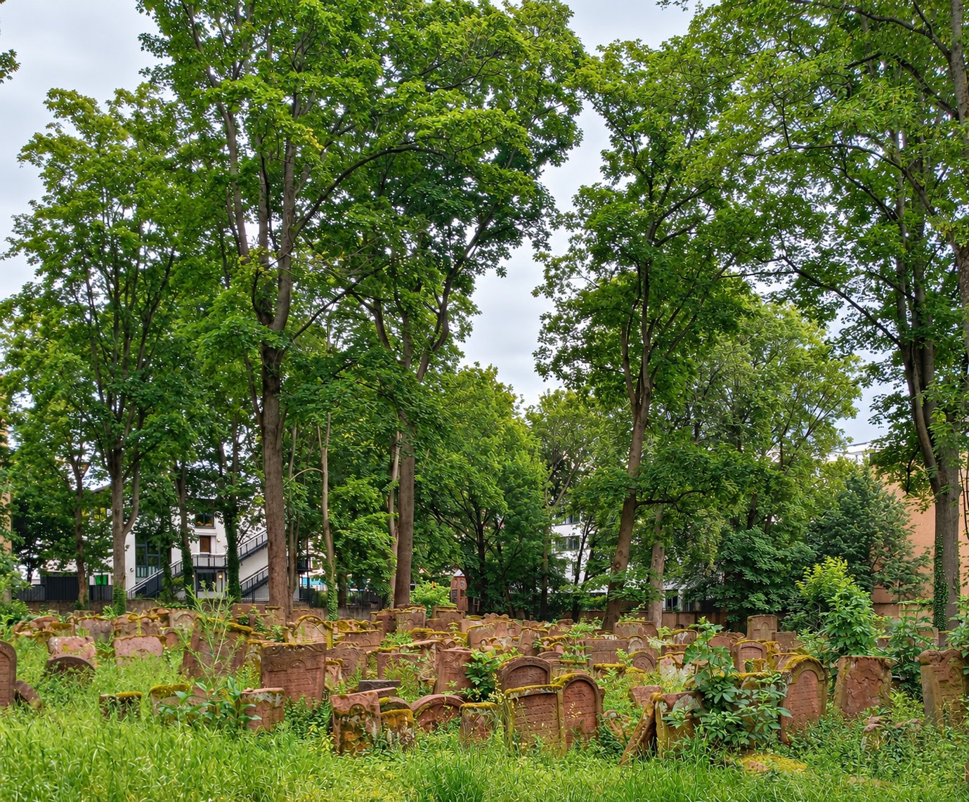 Il vecchio cimitero ebraico di Francoforte