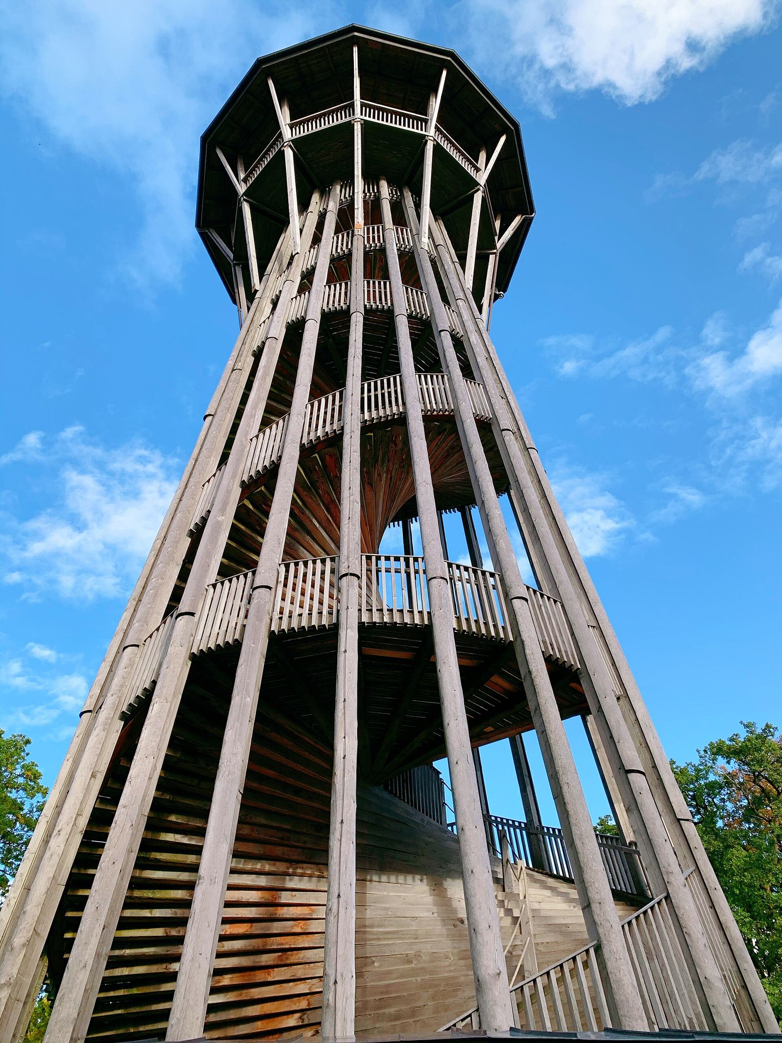 La tour de Sauvabelin, dans la forêt communale