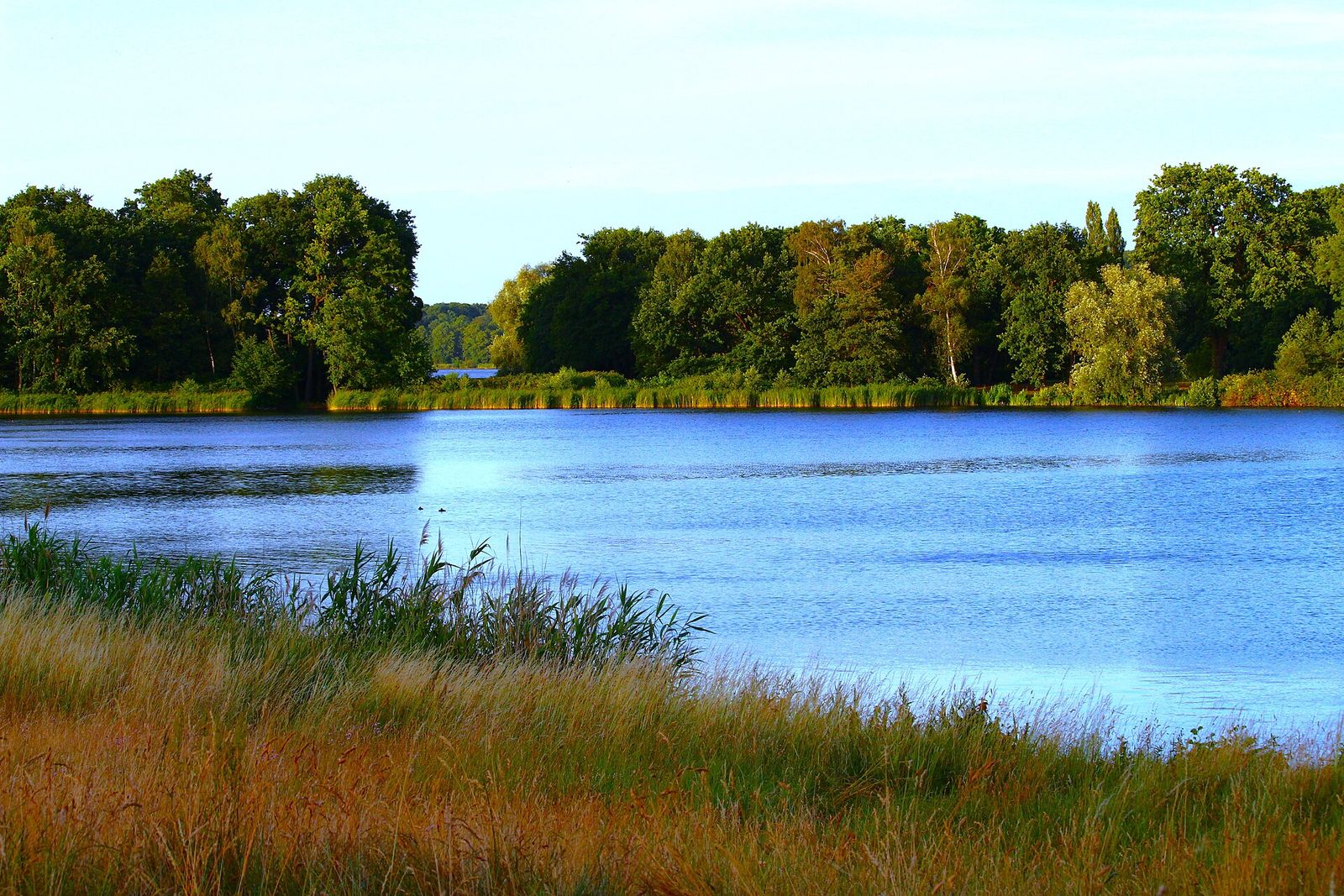 Le lac Heiliger See, à Potsdam